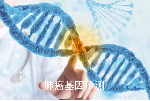 肺癌基因检测