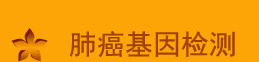 肺癌基因检测